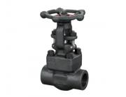 鍛鋼閘閥的優(yōu)缺點(diǎn)都有哪些呢？