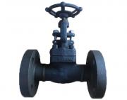 鍛鋼截止閥在石油行業中具體應用